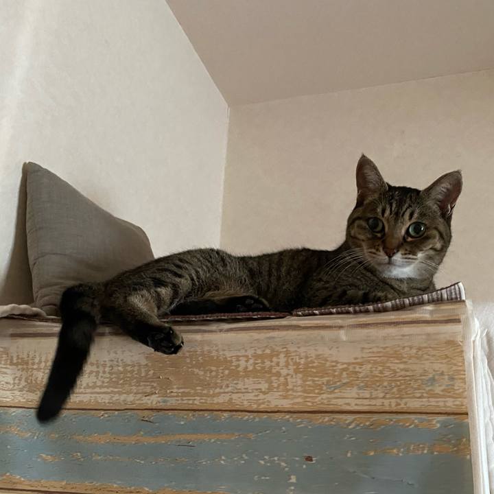 8ff78331 a8a0 4b8e b679 bd587d90b6c7 1764041754817