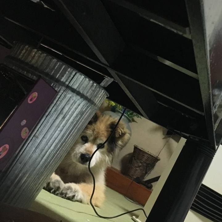 8ff78ae6 b11c 4876 bb1d 35facb0b0401 1580184665812