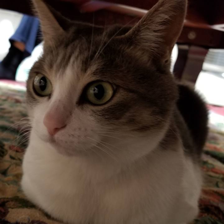 8ff7acdd cc36 4506 9a56 92ca1952ca54 1523533279489