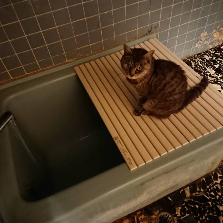 8ff7ce38 880a 4e96 a35b 39b0542bdf6d 1572082213650