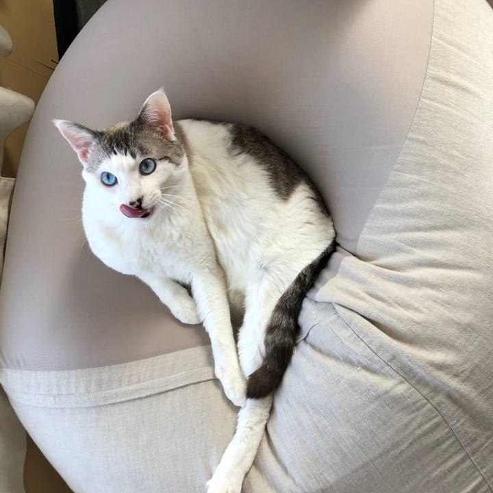 8ff7e7ac d103 44b5 b499 fcf3830078d8 1580966266034