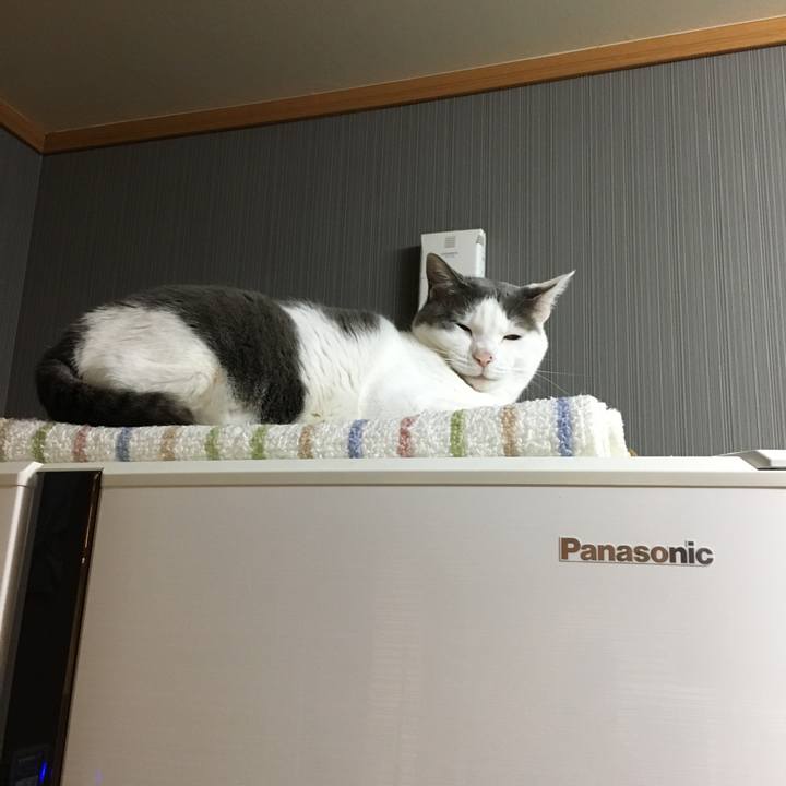 8ff819d0 13bd 46a8 84ea 3355db8ac5df 1557141703281