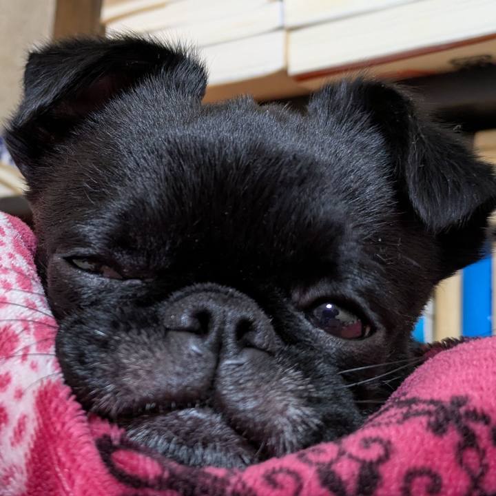 8ff81d76 949a 4026 8098 800c4a2a66c7 1766068076628