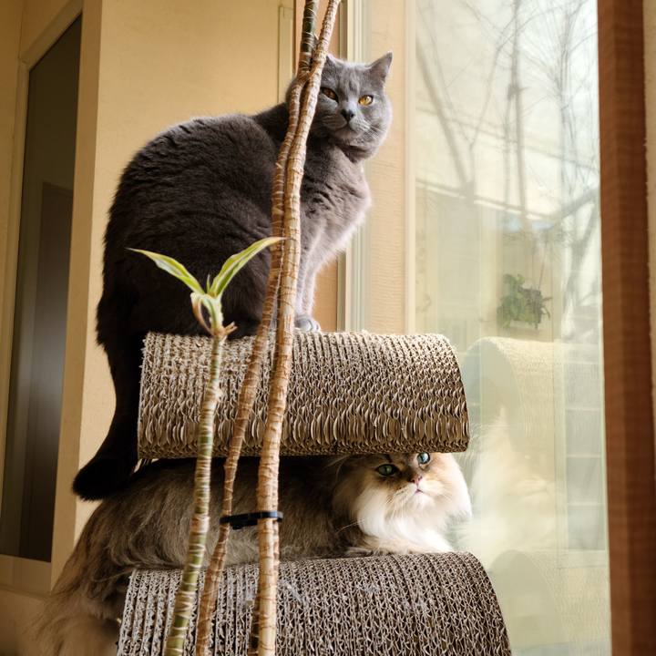 8ff85000 b2d9 429c b62c aa506013a31c 1614815874106