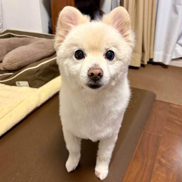 8ff852b1 f15d 4d60 9ca7 49fccf34f6e2 1772367119421