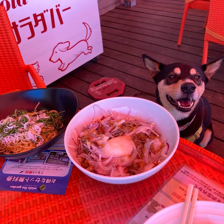 8ff874a8 3d47 4fd2 995e ceb808fe8e83 1624272379918