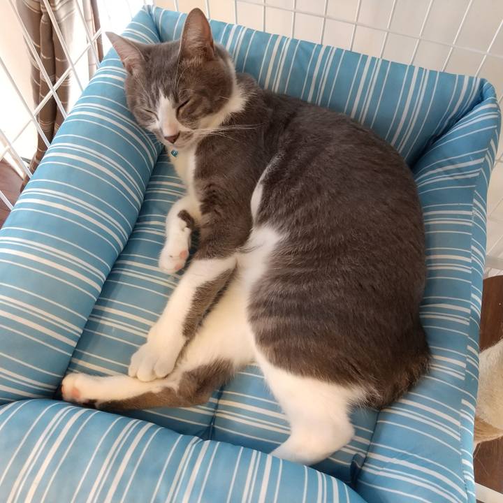 8ff883db 2d22 46b9 9d28 77eeadea1947 1596176963207