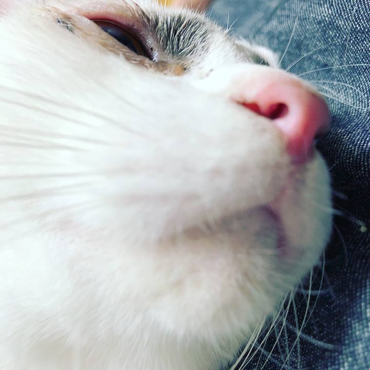 8ff89612 88cf 4531 9d2b 6f316d93a19d 1526554049887