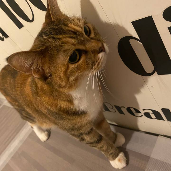 8ff8b0fd 30f0 4584 b307 1a160e1ca6bb 1636774838869