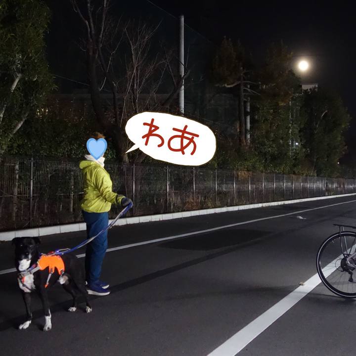 8ff9071a c97f 46a7 a71a 419a7305ff72 1708771535930