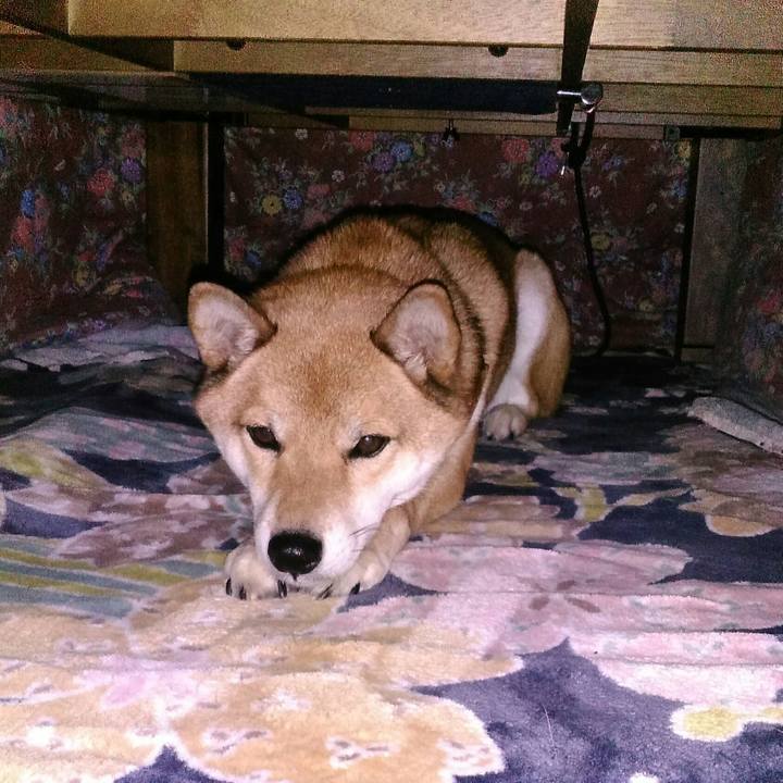 8ff907eb 5534 497e bb50 0fd9ab131828 1511417943343