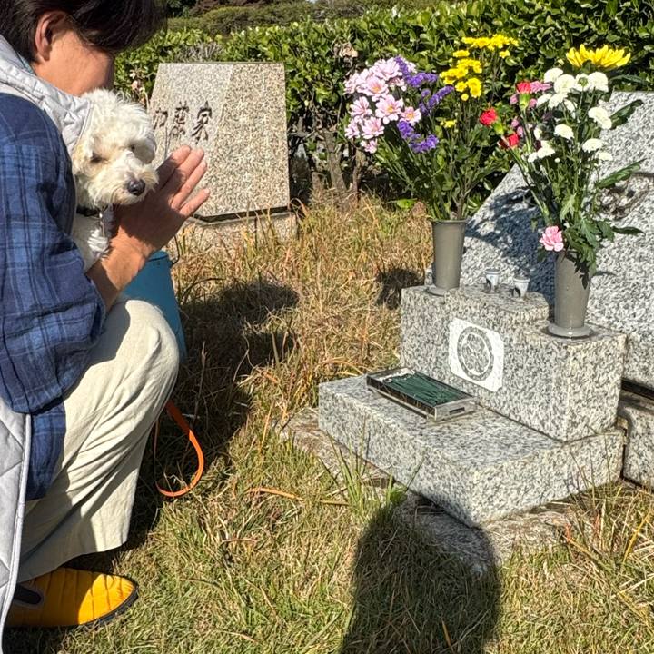 8ff91e57 8717 4476 ba38 be86630df342 1763267335735