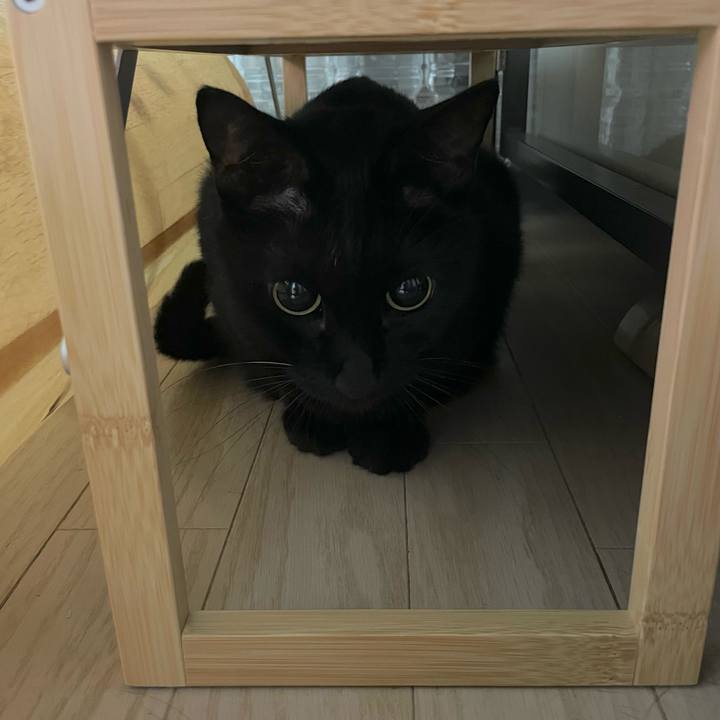 8ff92485 1716 4dc3 a06f f420abc1d821 1697463126453