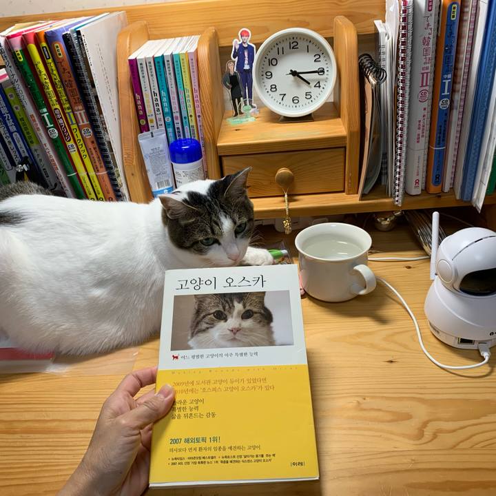 8ff9261f 7a1c 435e 80fc ed90fb33001e 1637004298017