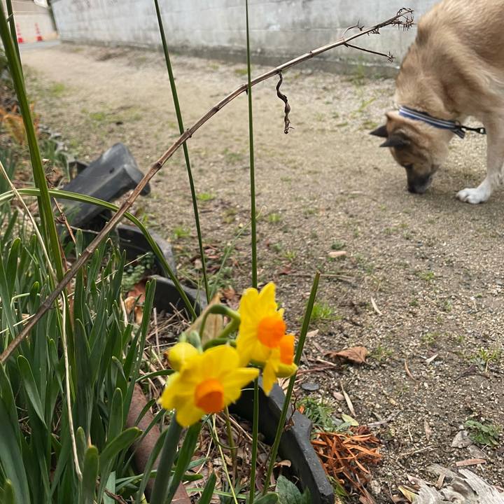 8ff93df4 f5ff 47fe 8293 bed24c1c44f0 1677324689399