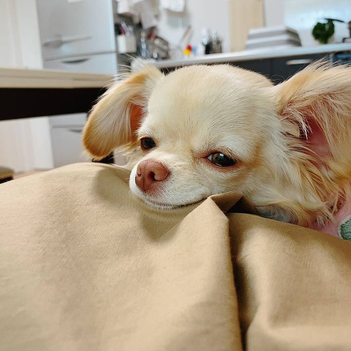 8ff95c5a b627 4b10 ab9c 13aba6565403 1618025942261