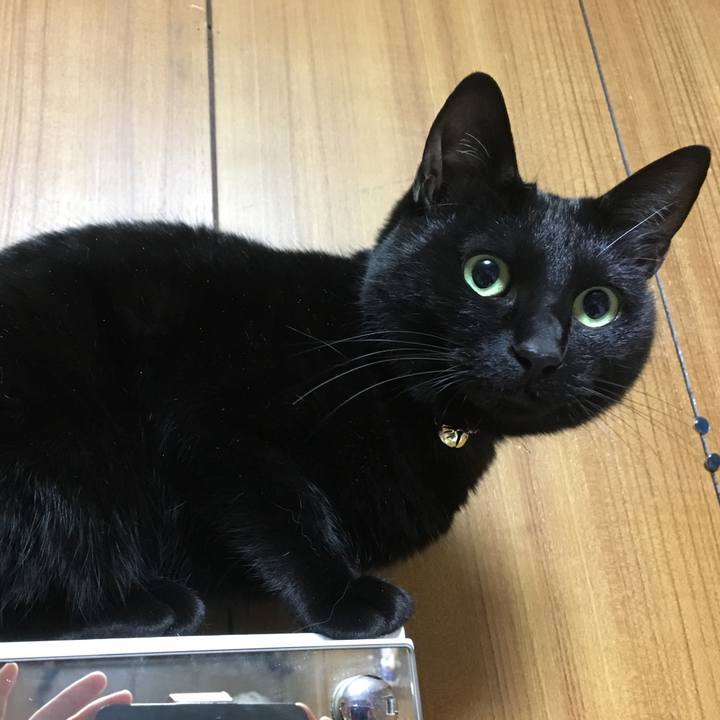 8ff9d76f 7018 4b18 a0cf 4a1b07e246f8 1519831101694