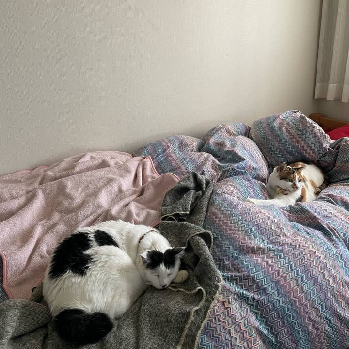 8ff9ee33 30ac 4dfc 9ea4 d8c2eaa31960 1640831538009