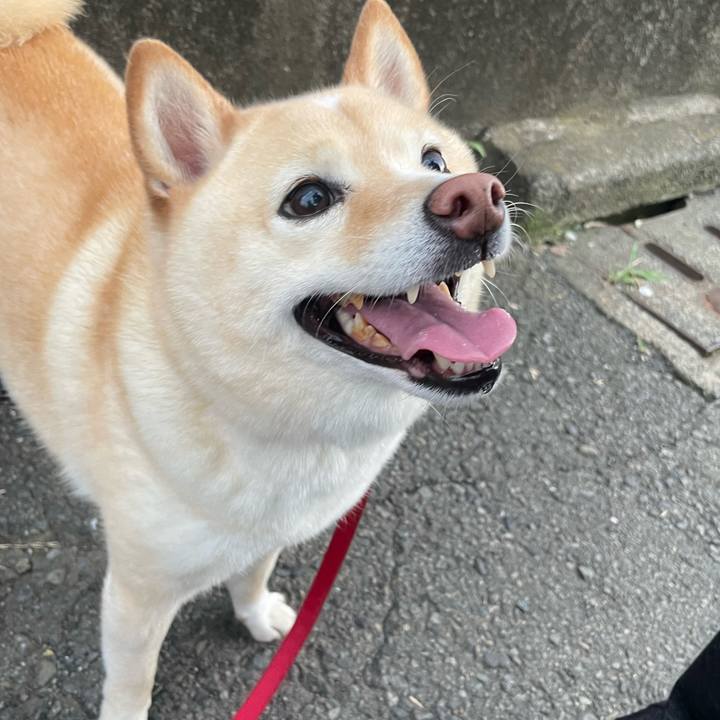 8ff9faed 62d8 4e04 93d5 2f98e6a156be 1720613395850