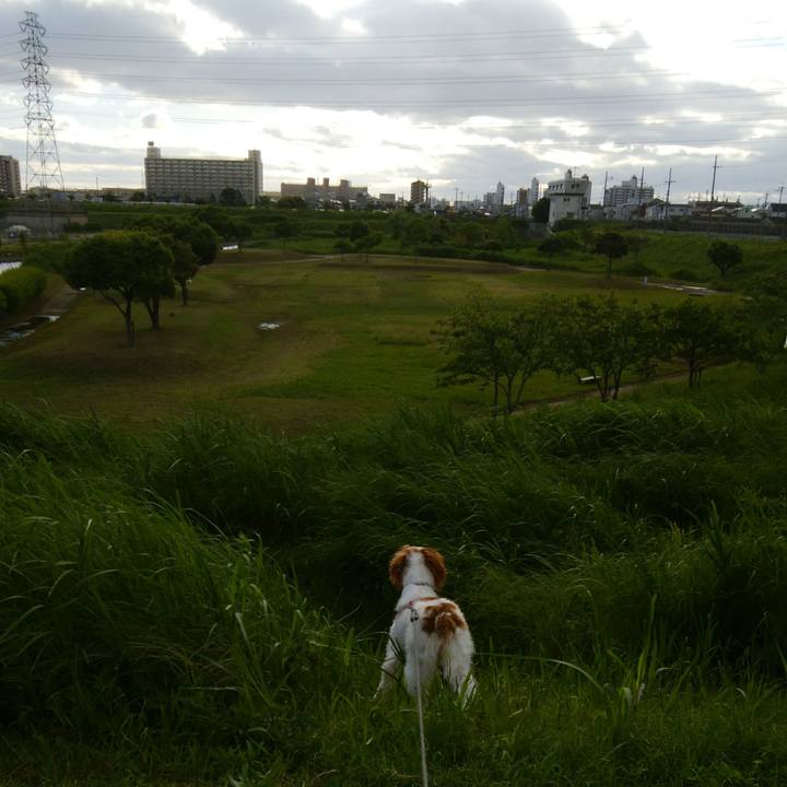 8ffa022a e06c 4196 83af 9c58053430c4 1526817943649