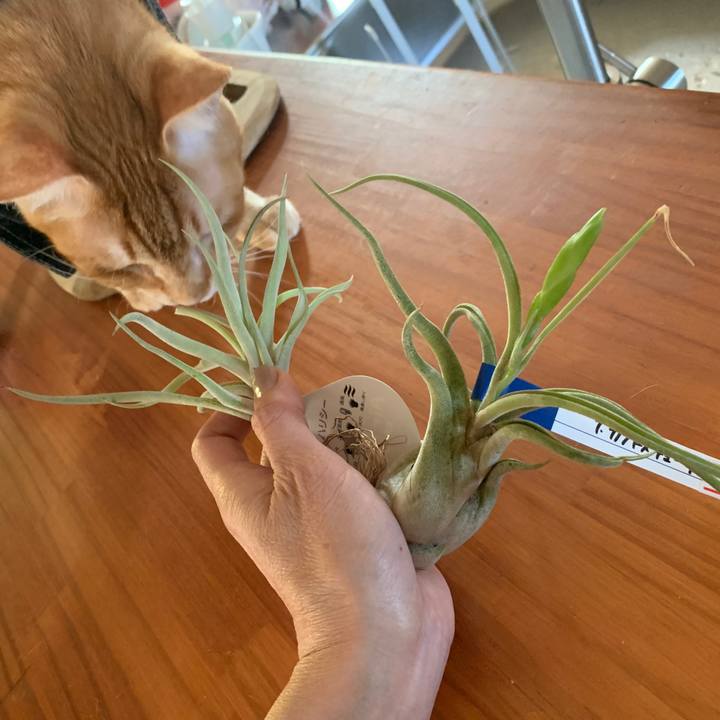 8ffa17a2 2d19 40d1 9487 0753666a67c7 1651587763389