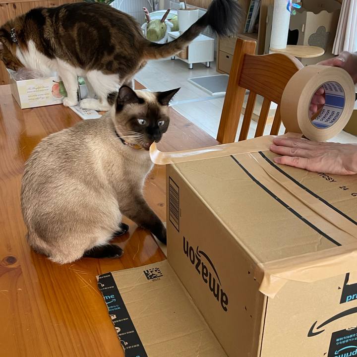 8ffa3c86 47c7 429f a836 5116ec21e3b6 1723356797579