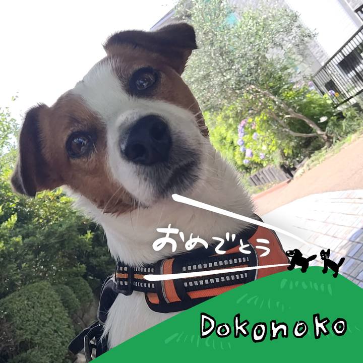 8ffa7310 9403 4bfe 9b6d a2d0ee37f0c9 1686010611614