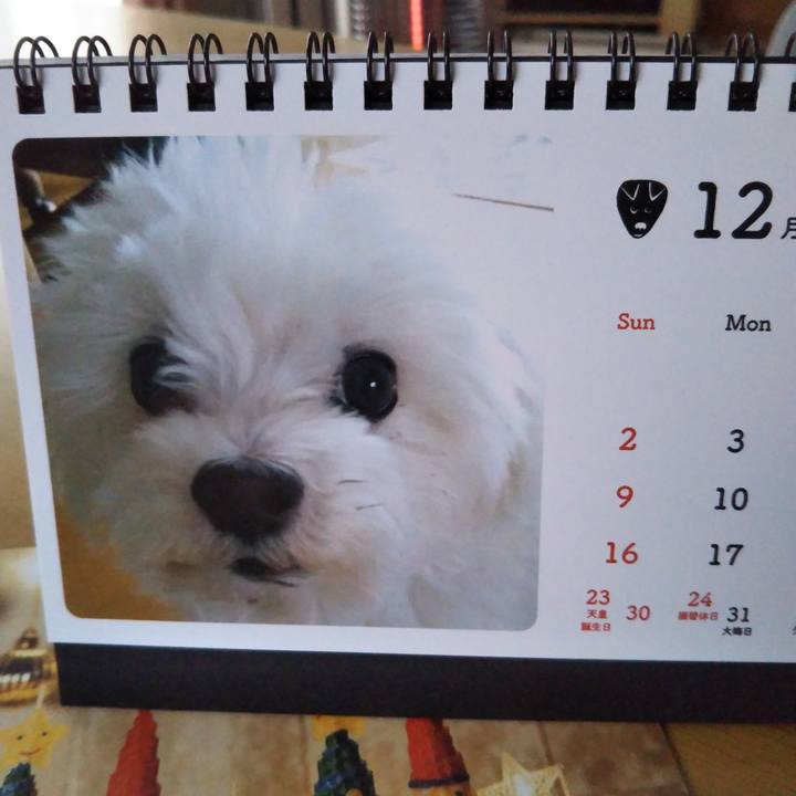 8ffa9133 48da 4ff2 bd7b 1a3f39a0e681 1544491335331