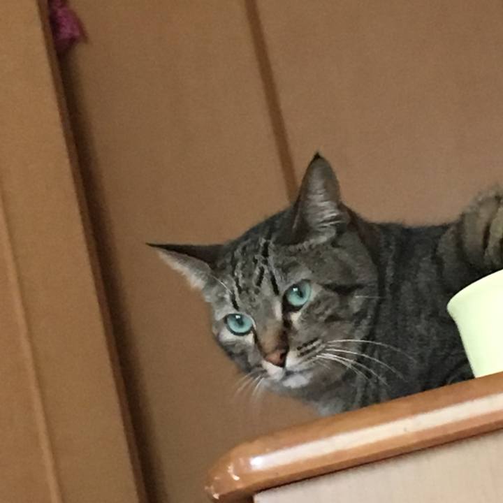 8ffaa1c7 015e 401b 8633 a61e0cac37d8 1530421047897