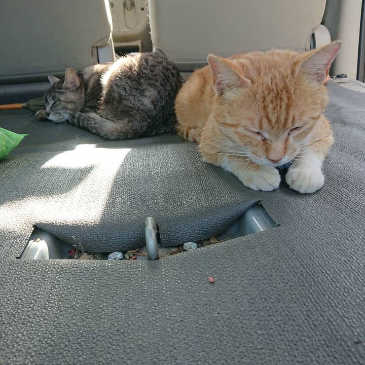 8ffaa708 1061 41c5 9352 03dff38f6d7b 1559203402225