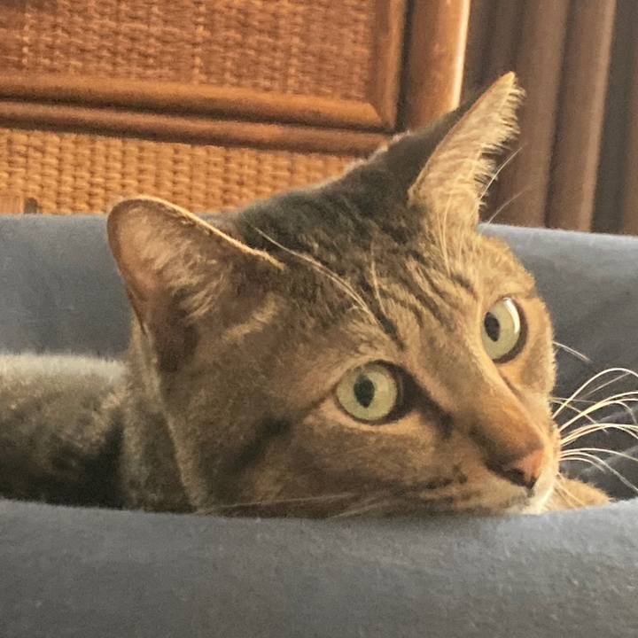 8ffaba50 aeca 4cf9 a703 44424a2ab931 1763503811640