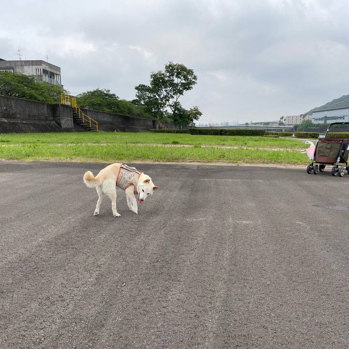 8ffae4ce b850 4a73 899b b23e2b640108 1655973451473