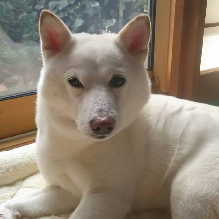 8ffaf430 1d6d 4716 aab6 5e5470898c4e 1584942517868