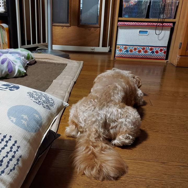 8ffb0600 4f36 4d40 bbb2 4ed7e66bafa3 1658044715911