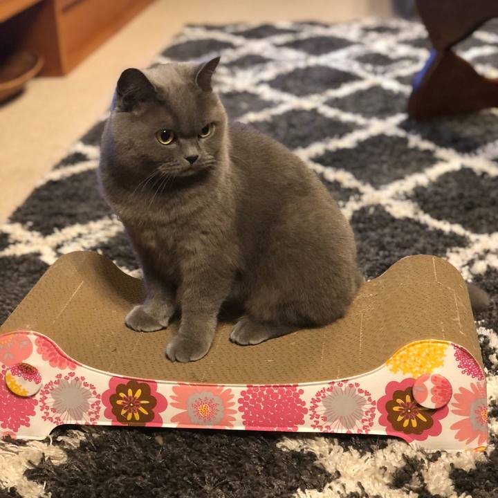 8ffb3cc8 b41a 419d b6fd 934118bc69d7 1608640688120