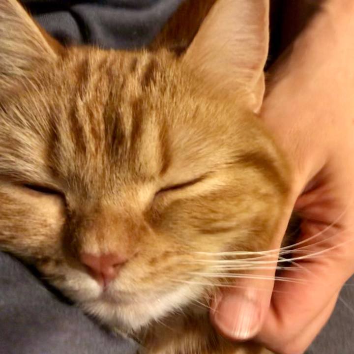 8ffb59c9 5f29 4557 87c3 4d36e8db241b 1518788465849