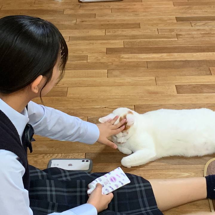 8ffb7cee c1af 495b 8d13 f68cc4db1594 1652739455067