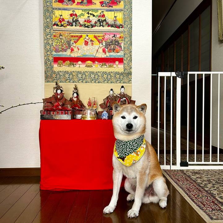 8ffb8b6a acd7 4e6c 8e76 673f681e57ac 1772623227597