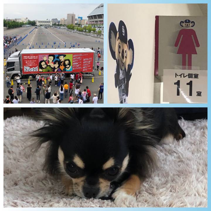 8ffb9d12 5a6e 405d 941e 1449d69d6221 1559524677779