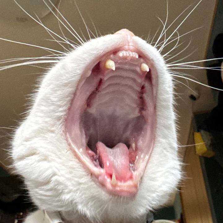 8ffbf78a 603e 4046 ba8a 9a1e93ff4070 1764692001584