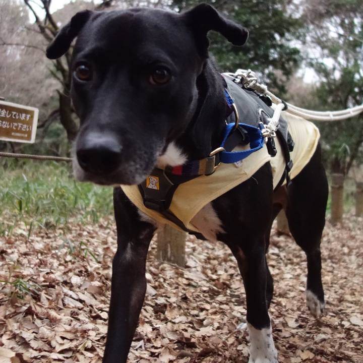 8ffbfccb 9b6b 4ed8 8eec b8dd8d0d7d63 1641777099940