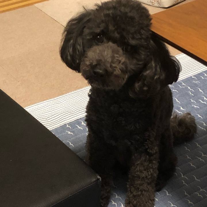 8ffc0cdf 0d4e 4b09 93a0 c505407d7efb 1595093245676