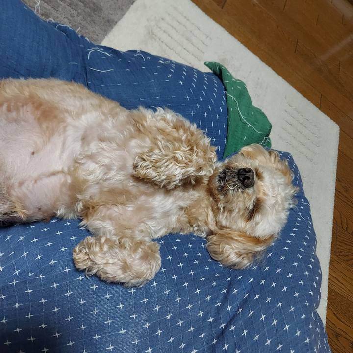 8ffc56e8 daaf 4a19 9eaf aeb5d745299e 1620477929719