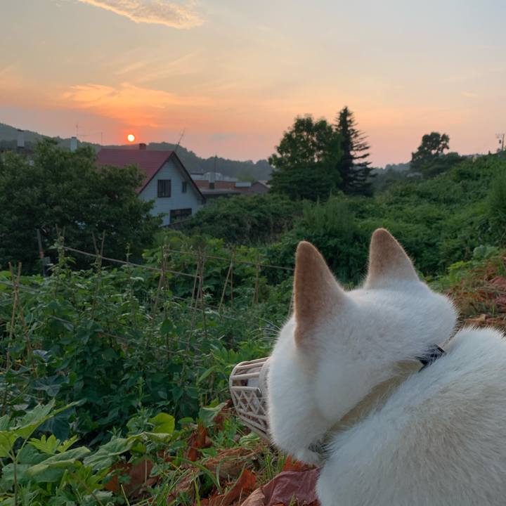 8ffc59b5 e174 43bc 8e62 d1e725668c0f 1626725990175