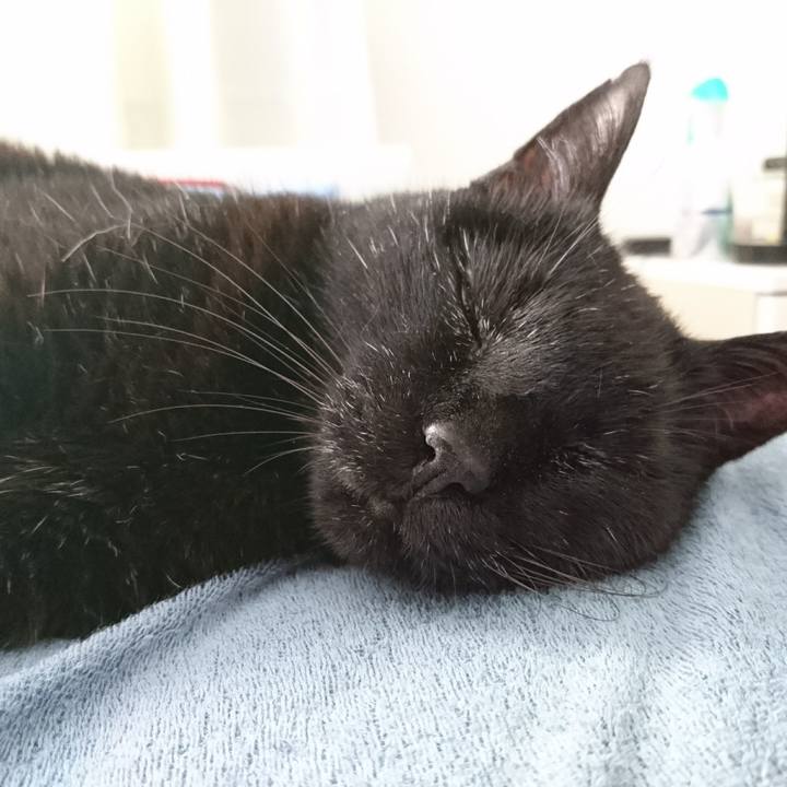 8ffc8940 b1cb 4cc7 a58b f086a9de8c7d 1588322361149