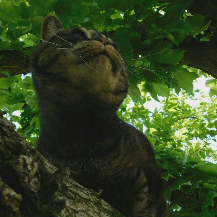 8ffc8c0f 63cf 4965 8a4c c65699e69ab7 1620379699634