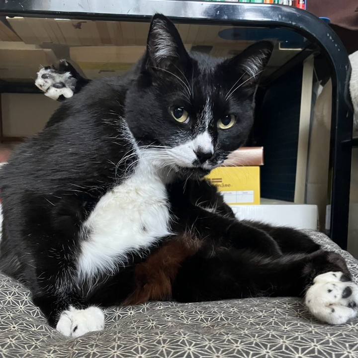 8ffc9b81 bbca 4f58 9daf 052563c2b7ab 1748332066528