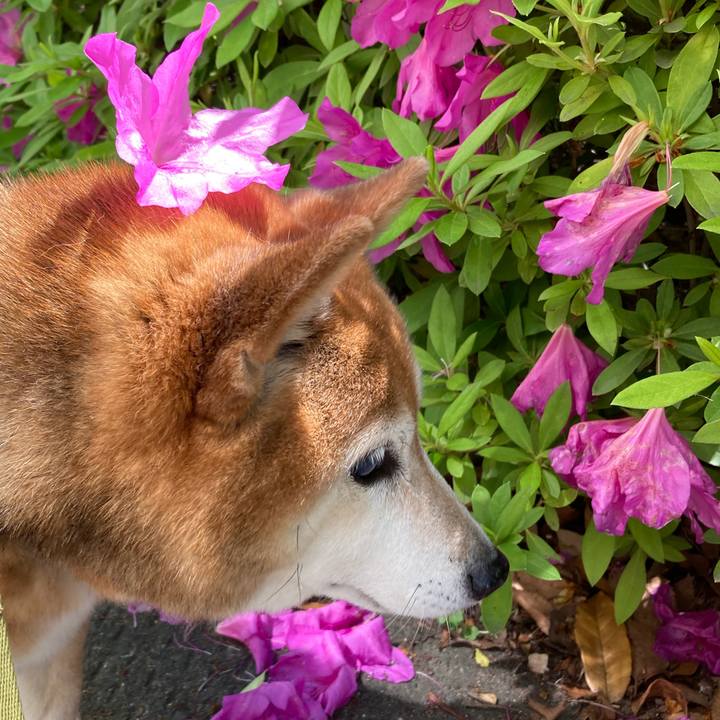 8ffd2562 3776 440f 9063 7a4677c88f03 1714701642629