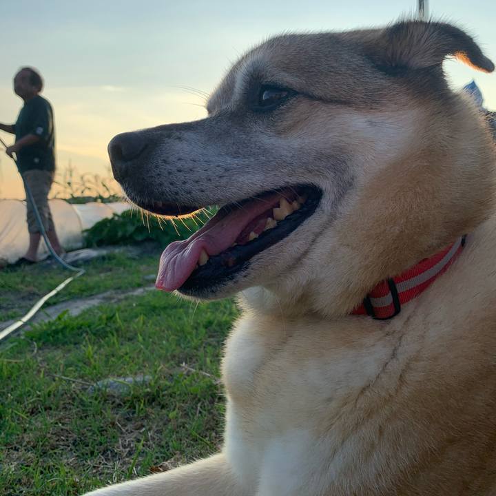 8ffd6b96 eb77 4370 8d01 50a3cb78c3db 1627134415063