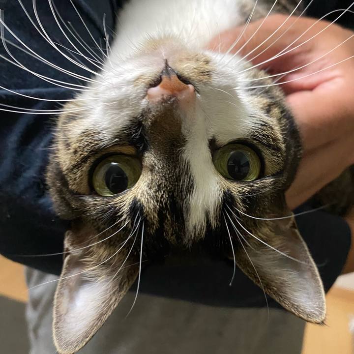 8ffda545 059b 49ad a8d6 130a82508046 1699936813736